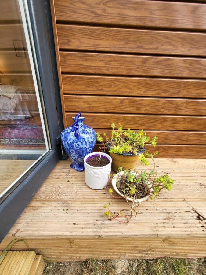 The Apple And Plum Cottage Studio Apartment New Редінг Екстер'єр фото
